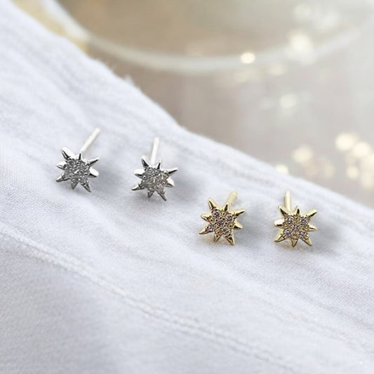 010 Star Cubic Zirconia Earring