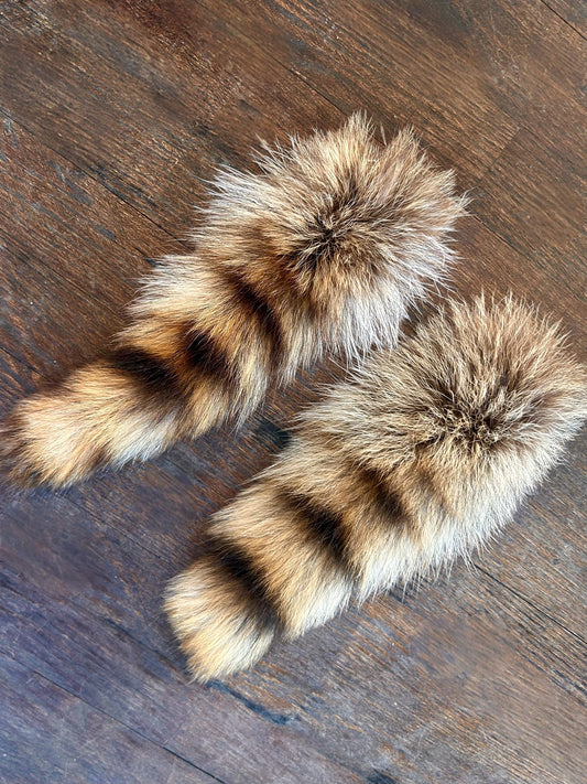 Raccoon Tail