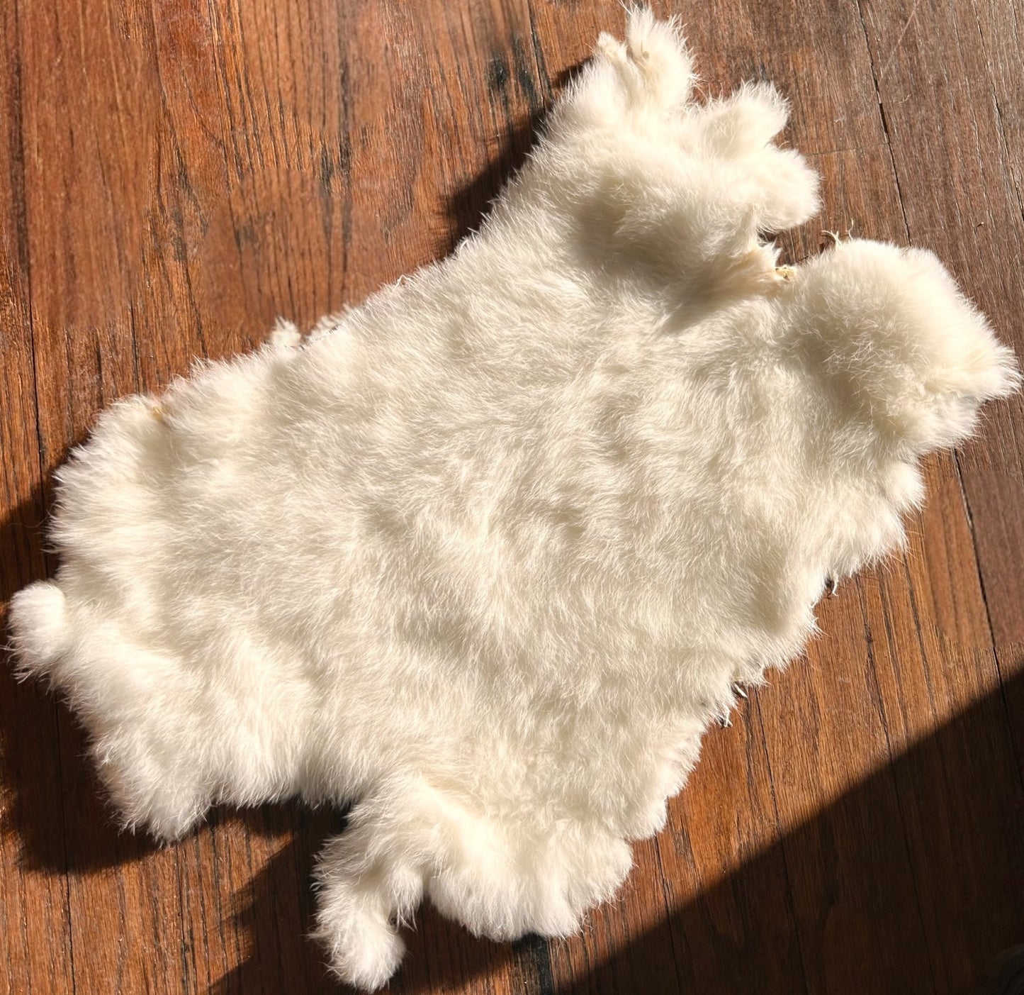 Rabbit Fur Skin Pelts