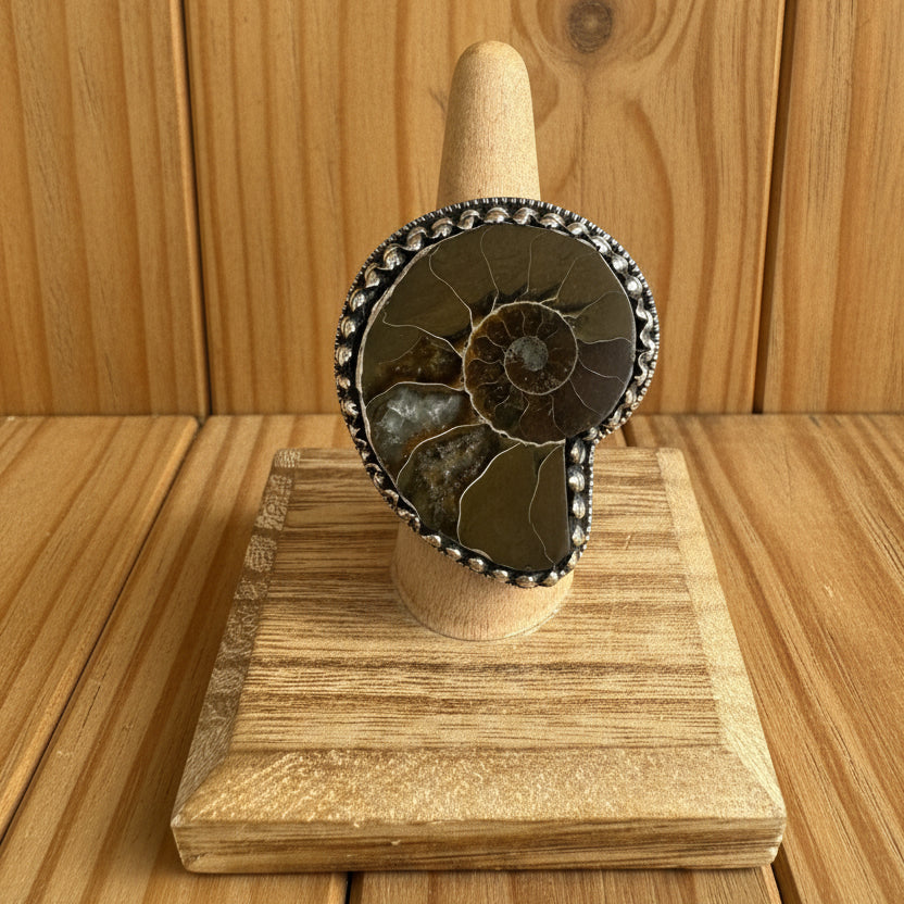 Handmade Ammonite Fossil Statement Ring