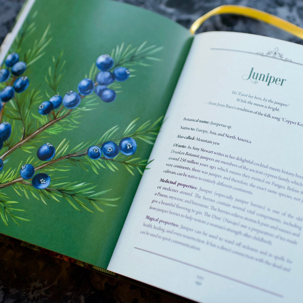 Enchanted Plants: A Treasury of Botanical Folklore and Magic