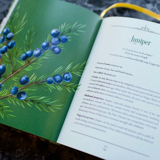 Enchanted Plants: A Treasury of Botanical Folklore and Magic