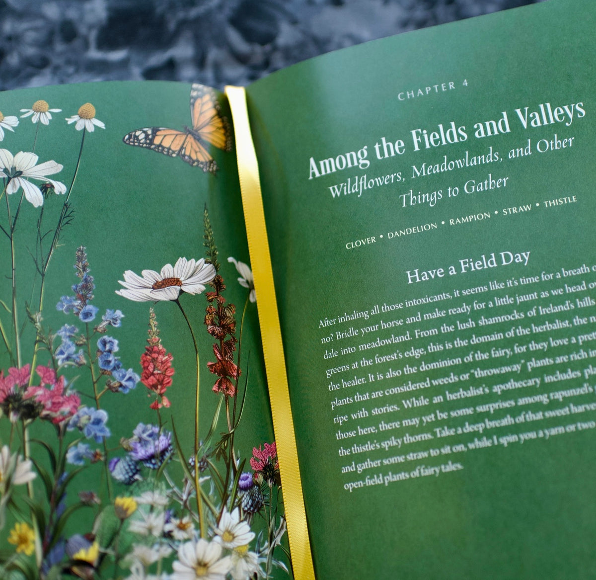 Enchanted Plants: A Treasury of Botanical Folklore and Magic