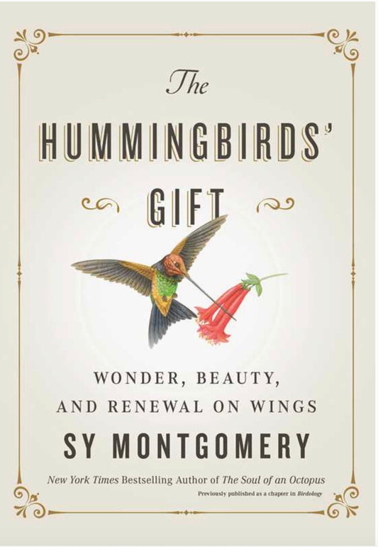 Hummingbirds' Gift