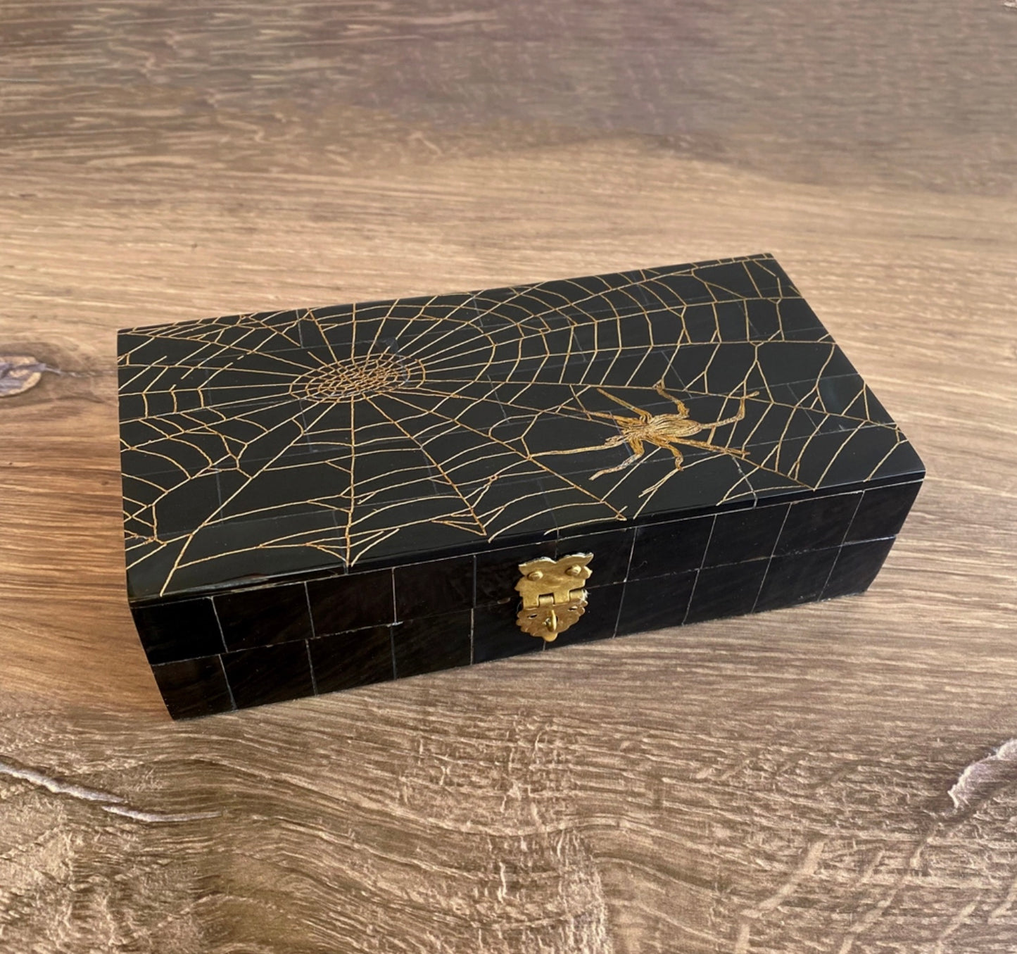 Spider in Web Engraved Horn Box