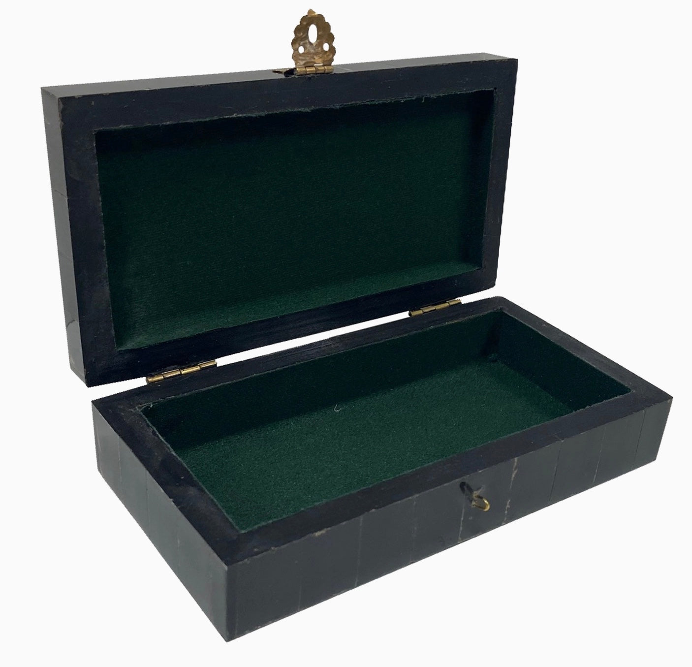 Spider in Web Engraved Horn Box