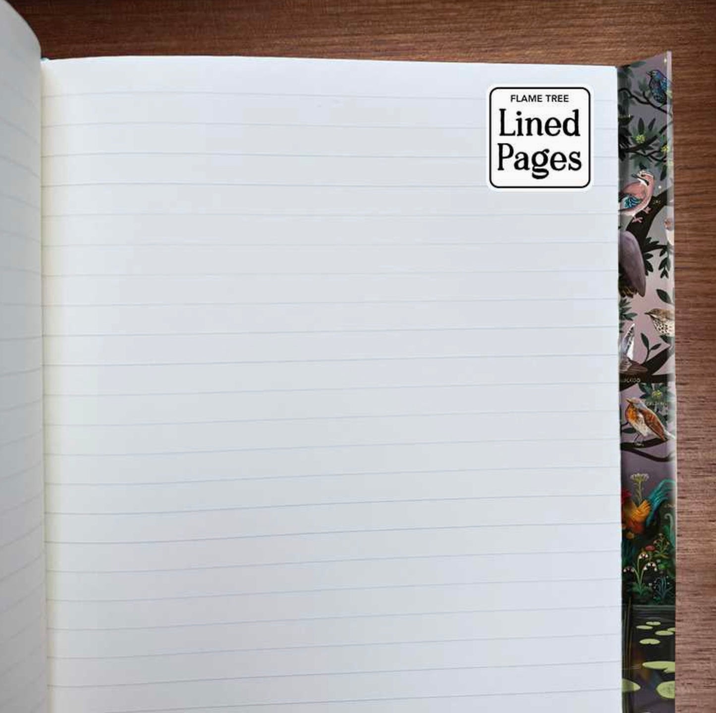 Birds Parliament of Fowls (Foiled Journal) Notebook