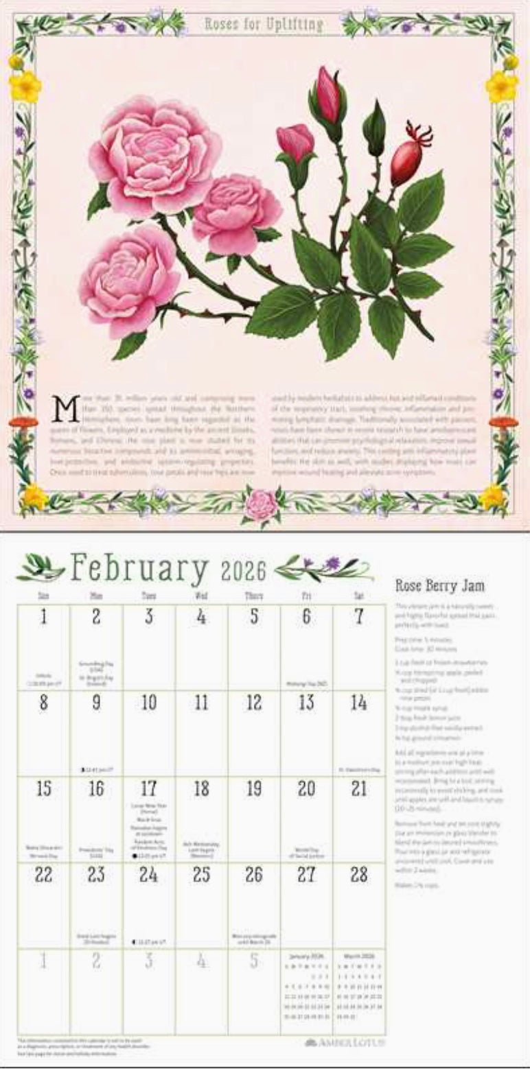 Kitchen Witch 2026 Wall Calendar