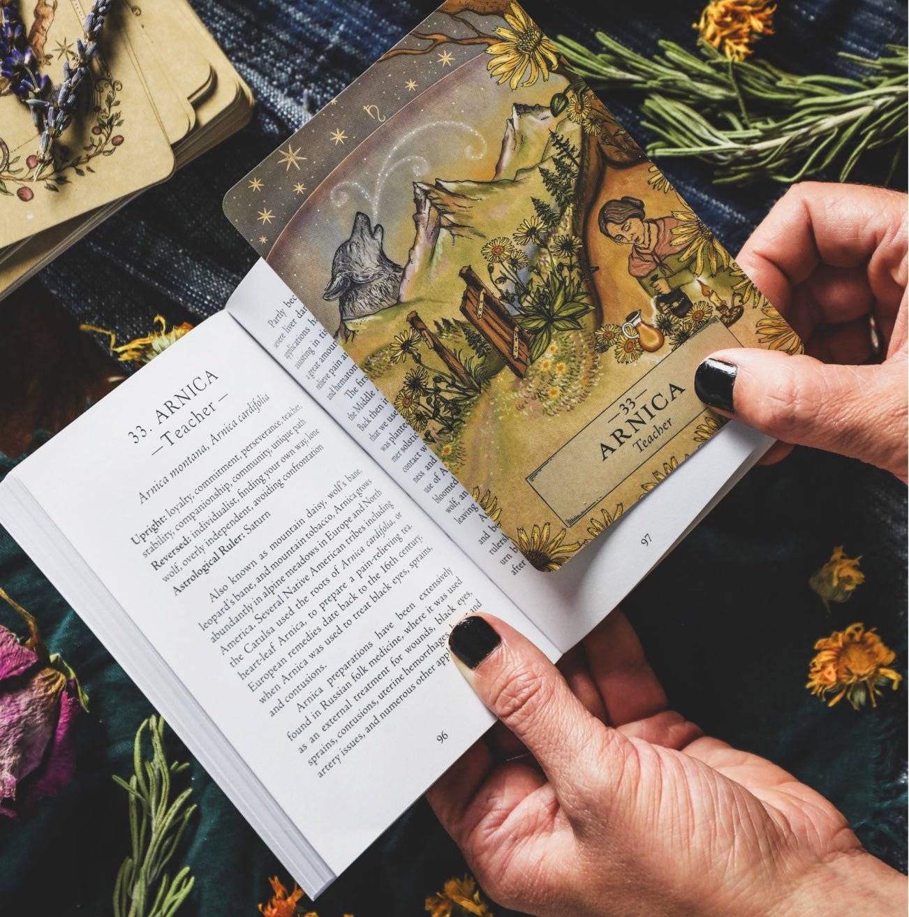 The Herbal Astrology Pocket Oracle