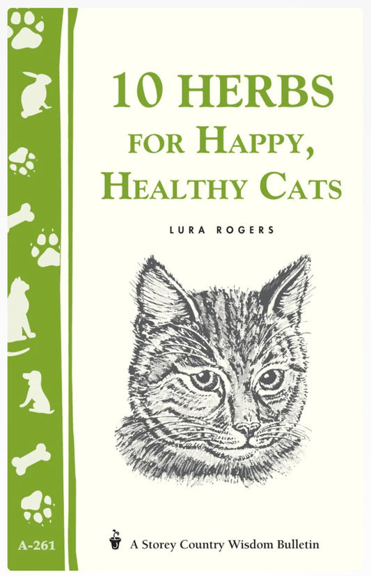 10 Herbs For Happy, Healthy Cats