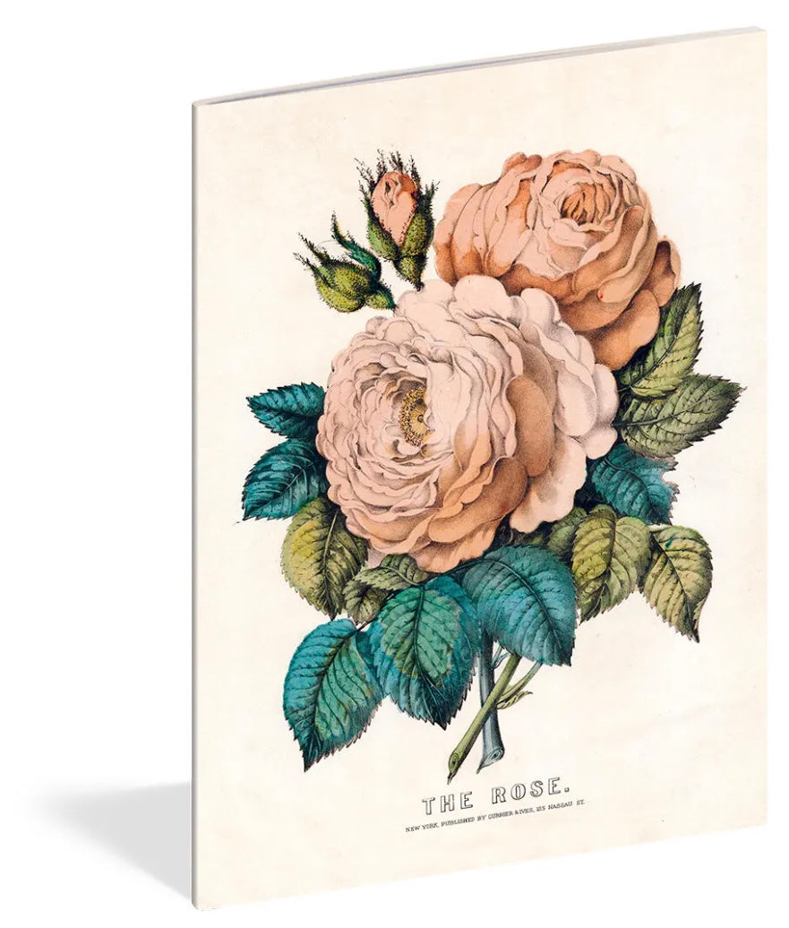 John Derian Paper Goods: Everything Roses Notebooks