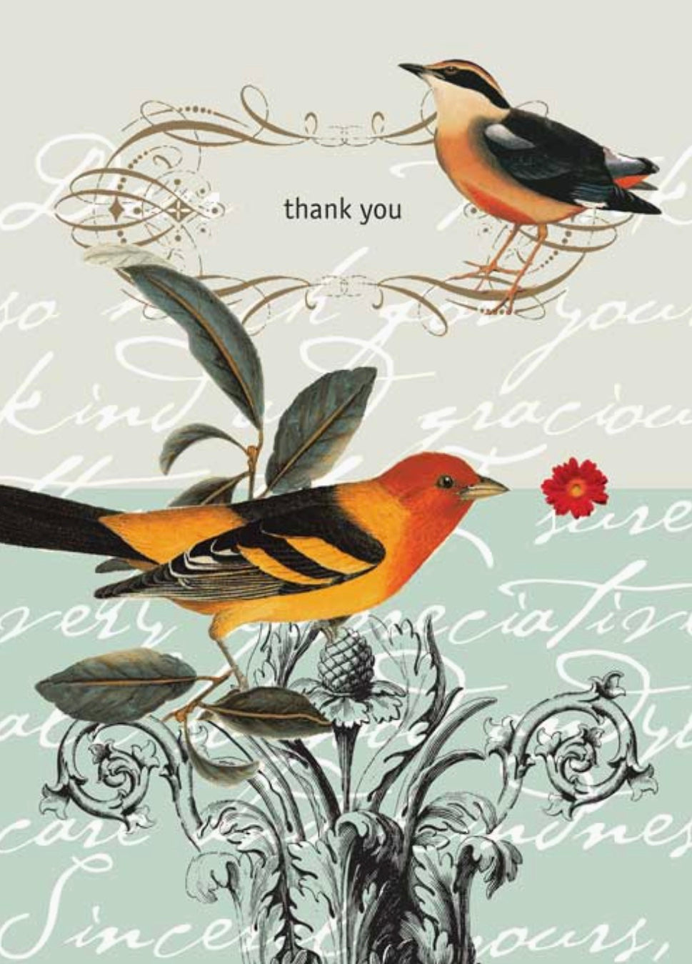Thank You Birds Greeting Post Card