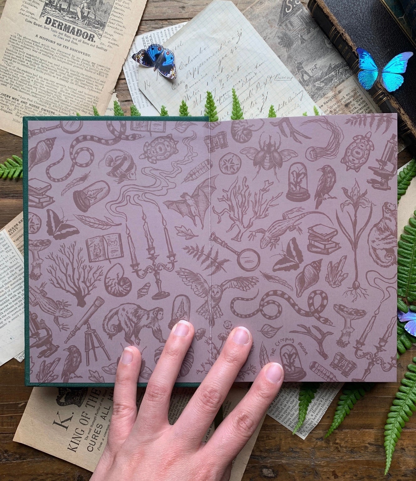 The Botanist Watercolor Sketchbook Journal