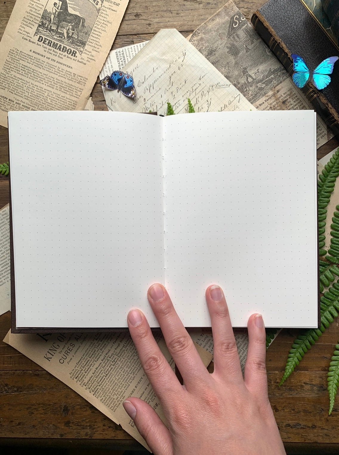 The Wanderer Journal