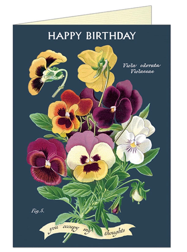 Cavallini Post Card