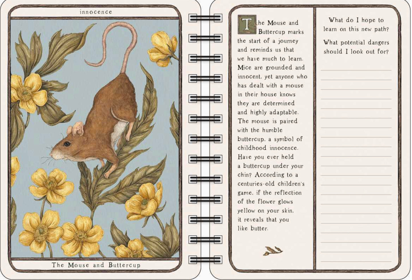 Woodland Wardens 2026 Weekly Planner