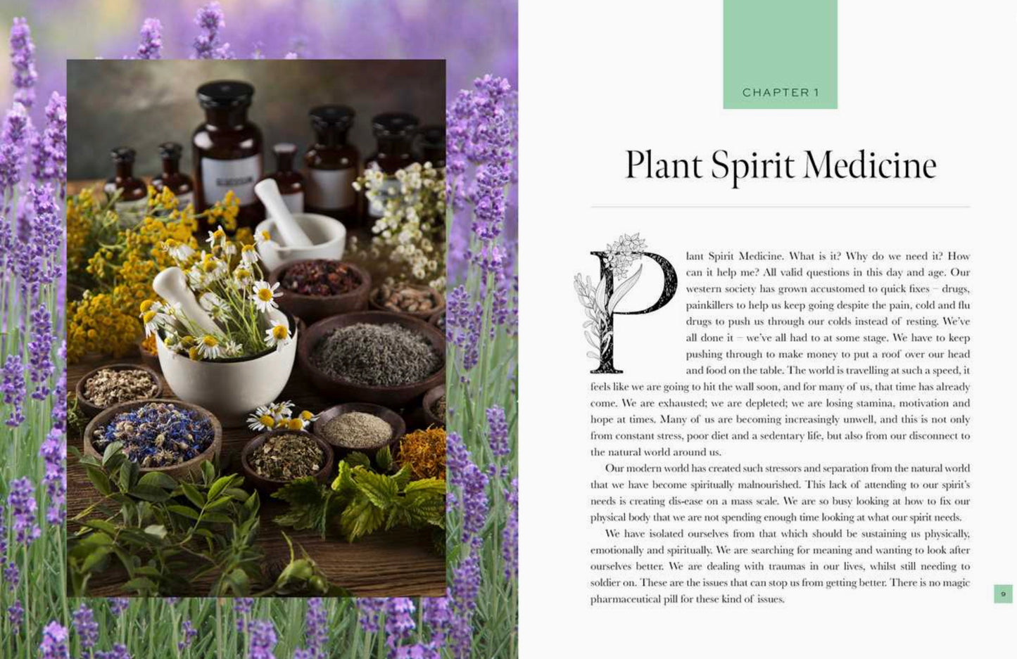 Plant Spirit Medicine
