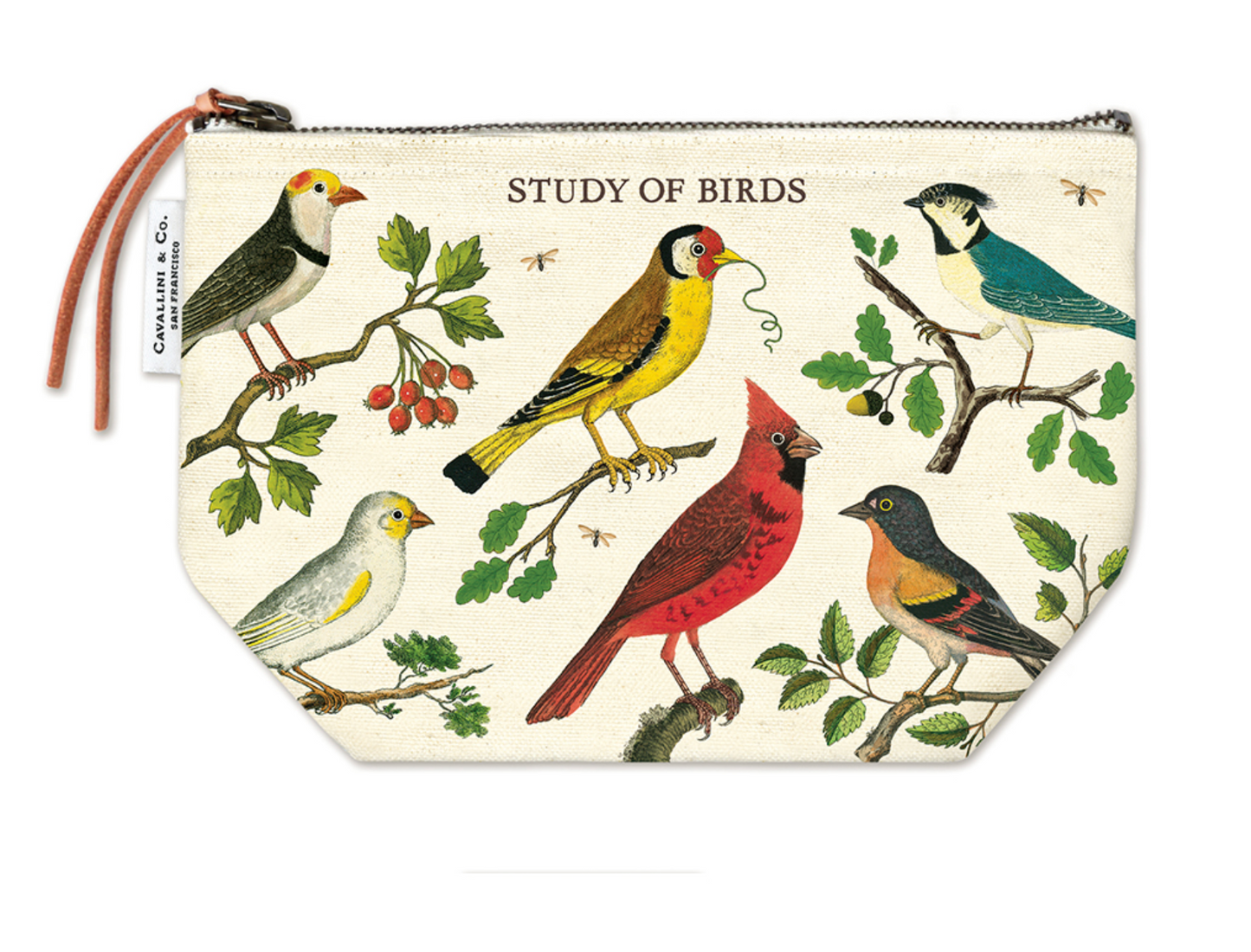 Cavallini - Birds Pouch Bag