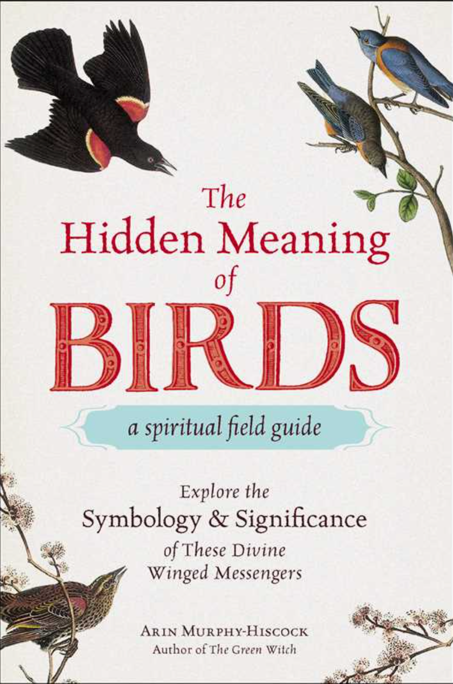 Hidden Meaning of Birds- A Spiritual Field Guide