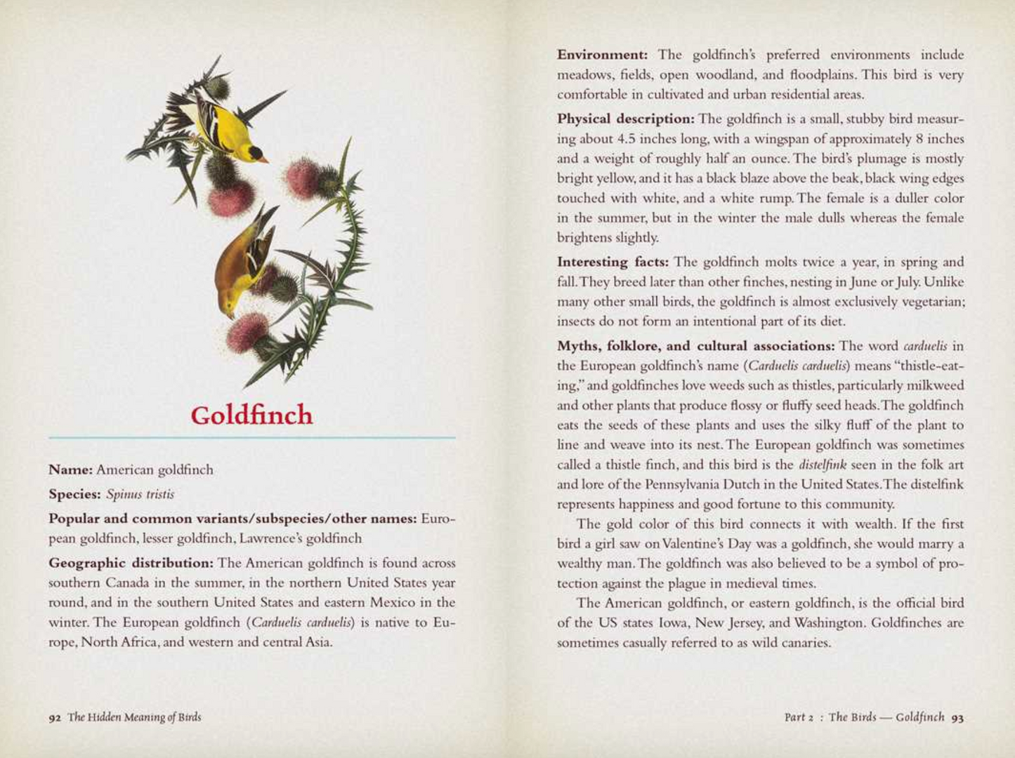 Hidden Meaning of Birds- A Spiritual Field Guide