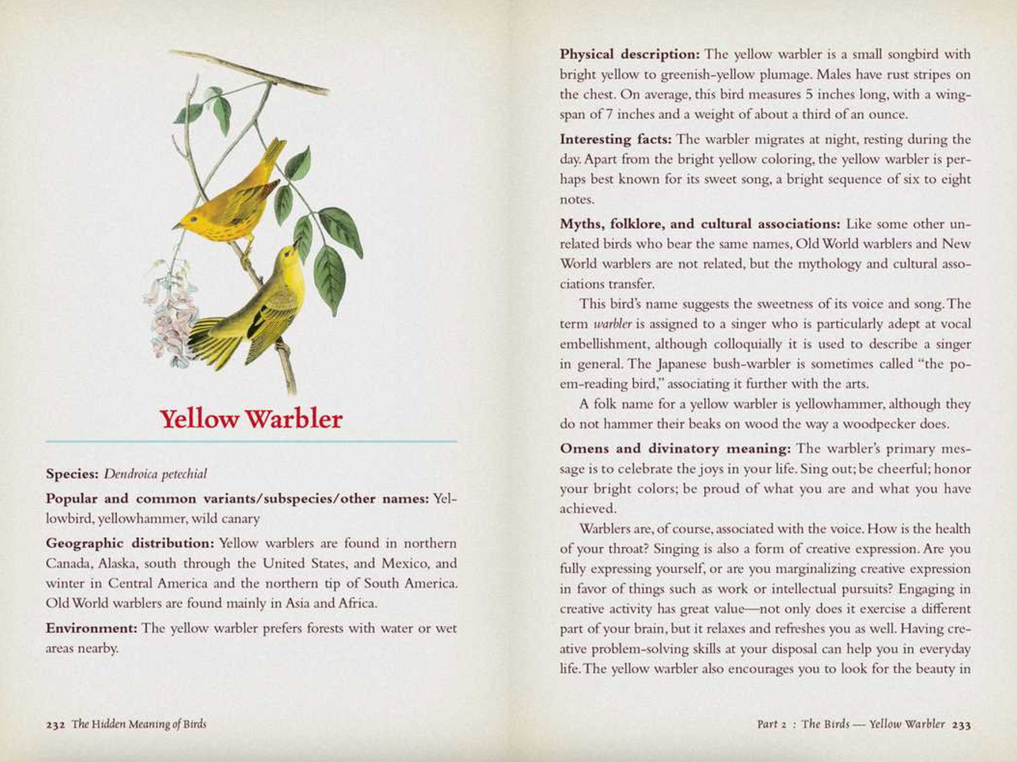 Hidden Meaning of Birds- A Spiritual Field Guide