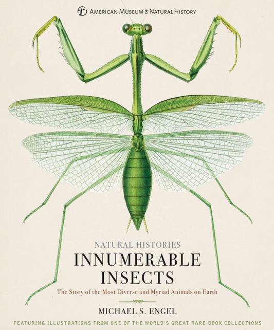 Innumerable Insects