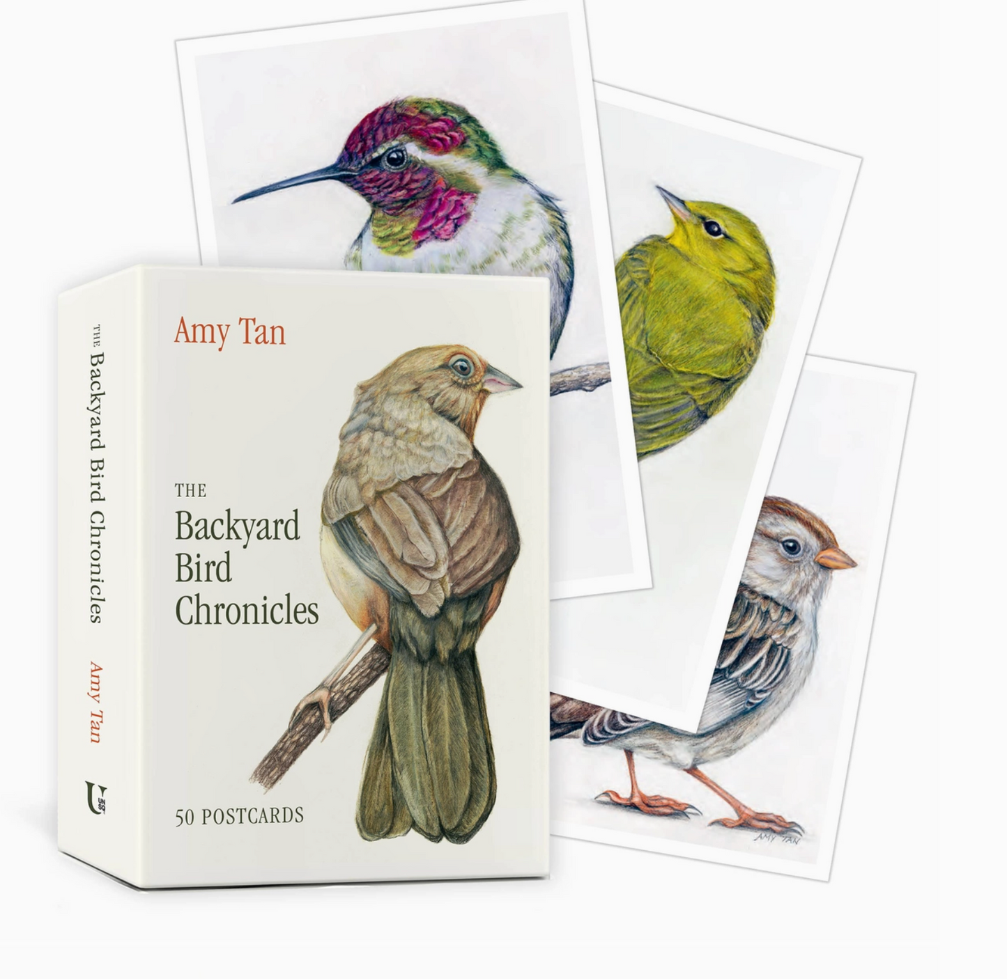The Backyard Bird Chronicles: 50 Postcards