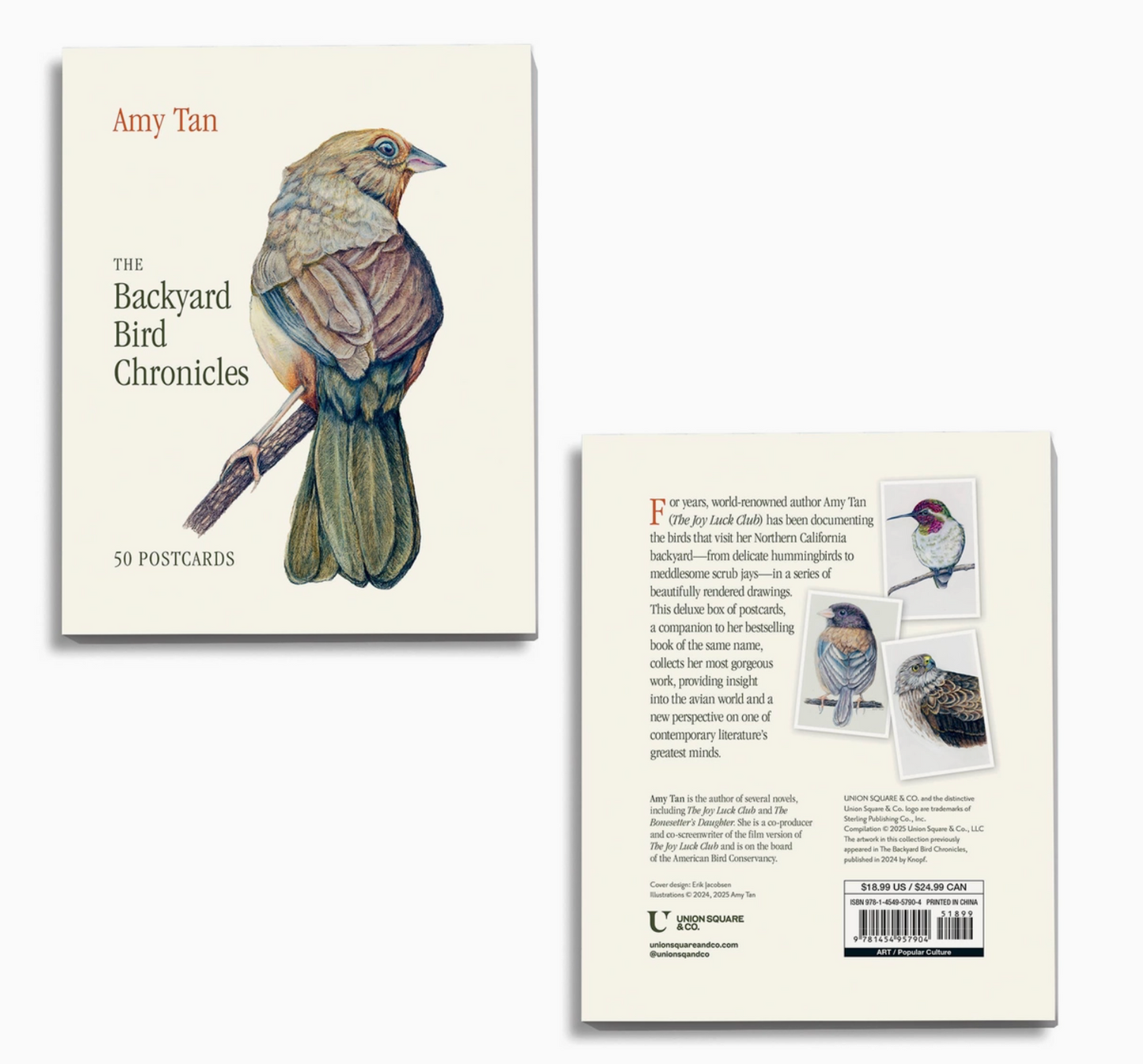 The Backyard Bird Chronicles: 50 Postcards