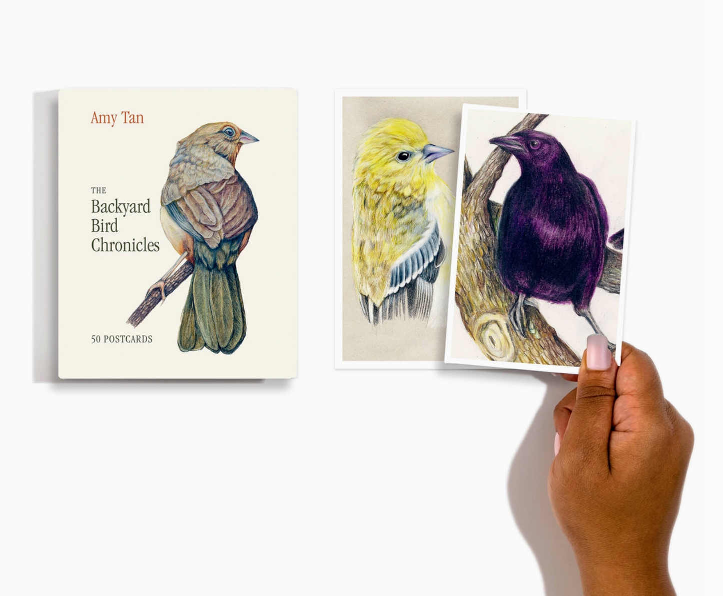 The Backyard Bird Chronicles: 50 Postcards