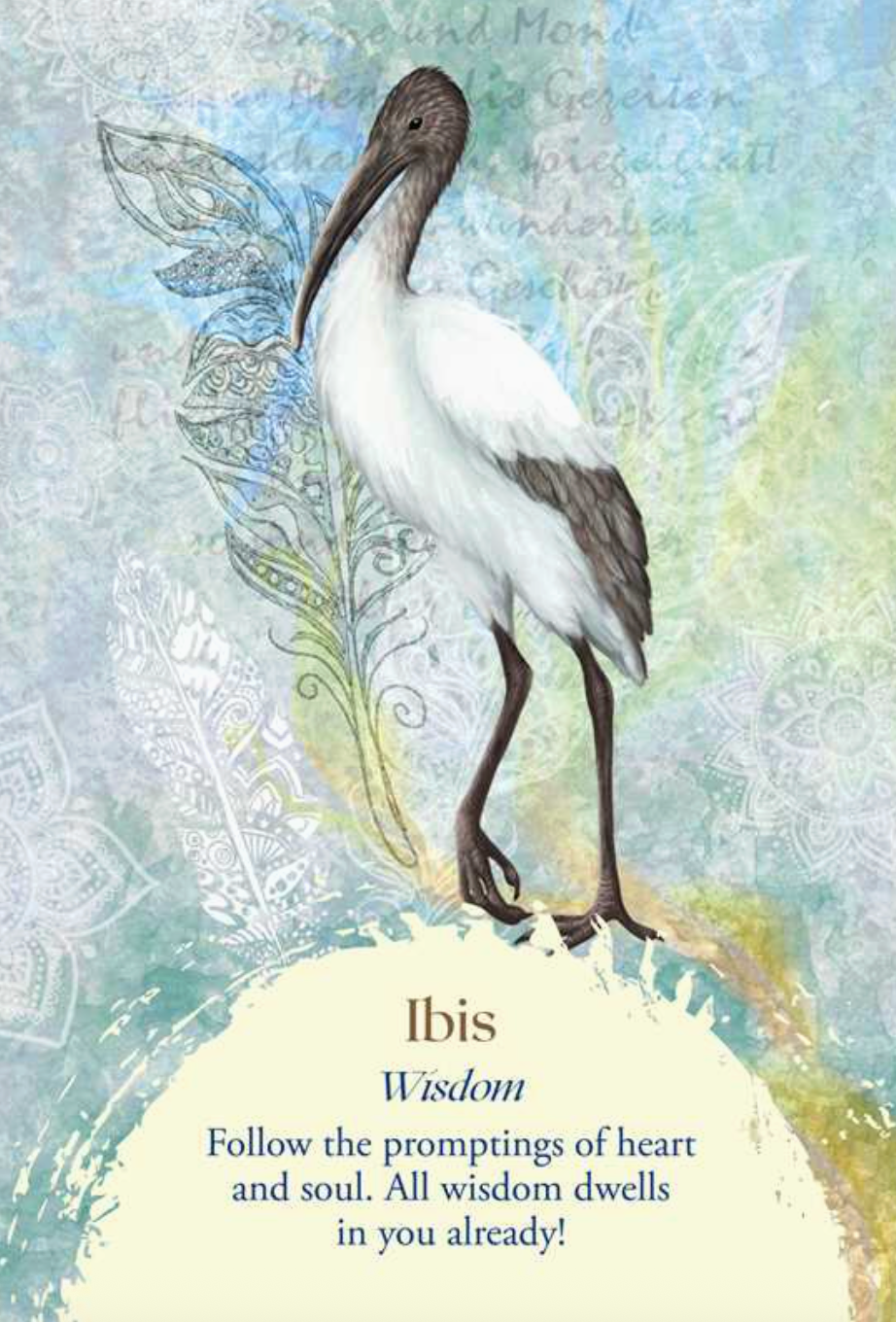 Oracle of the Birds Deck