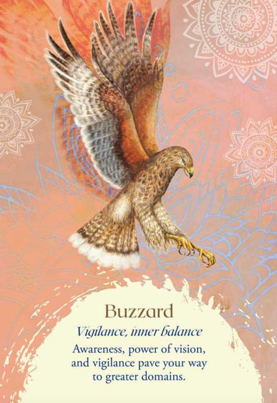 Oracle of the Birds Deck