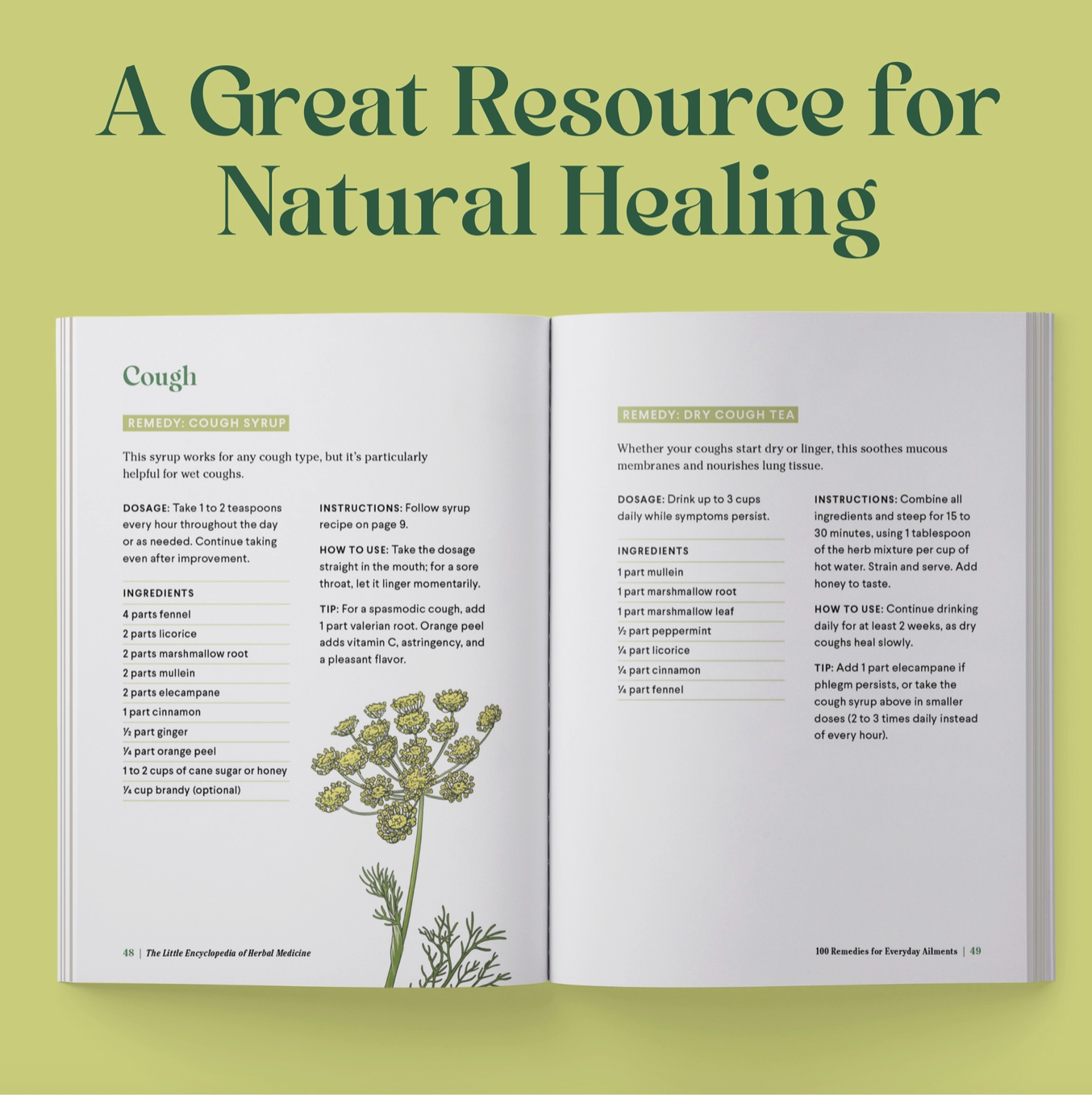 The Little Encyclopedia of Herbal Medicine