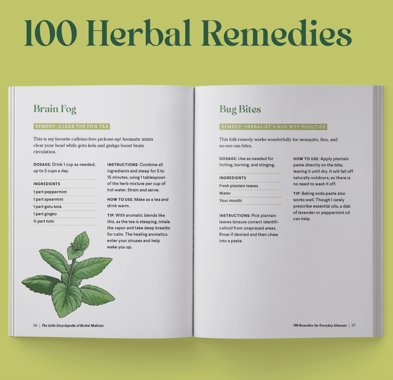 The Little Encyclopedia of Herbal Medicine