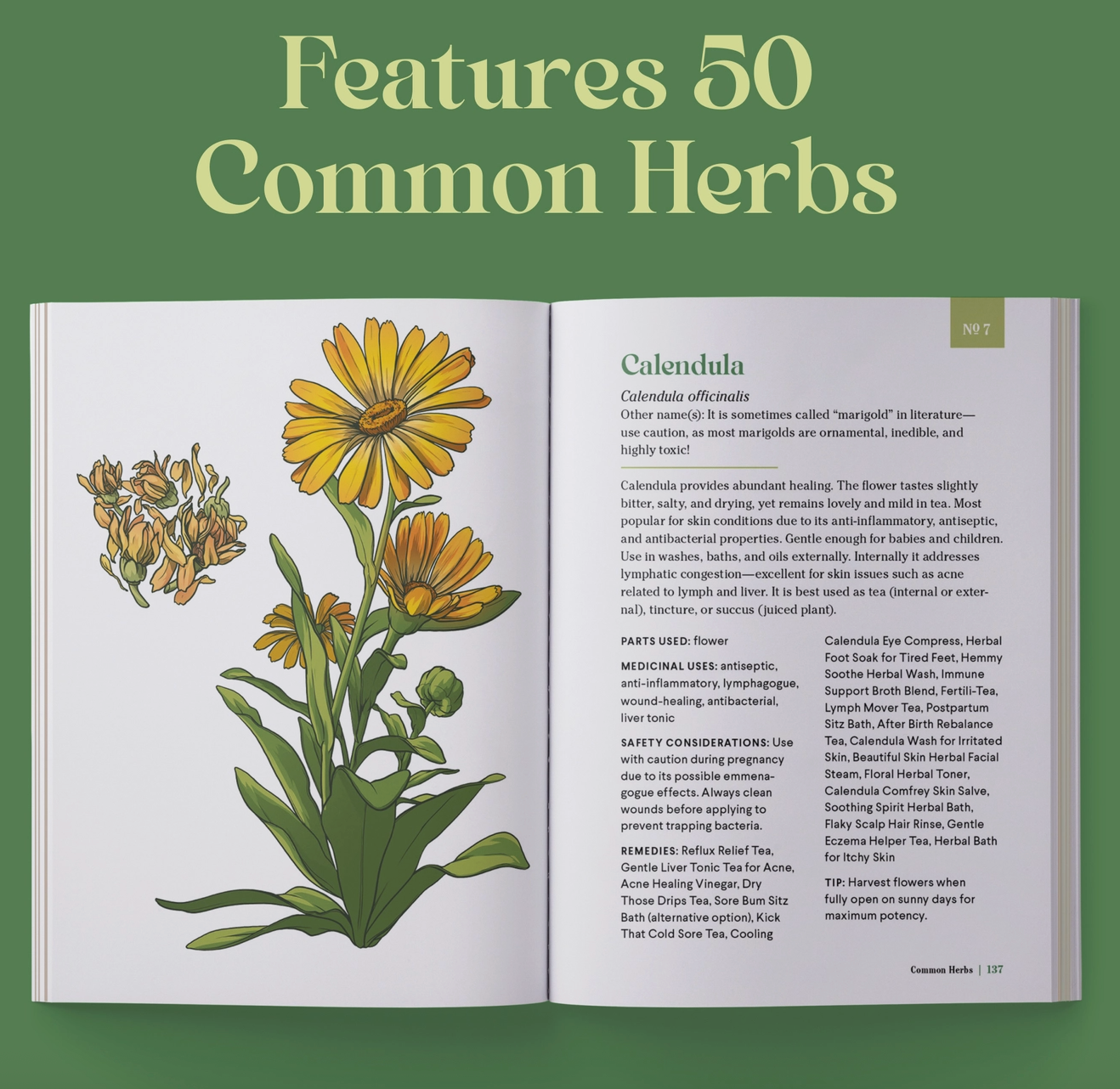 The Little Encyclopedia of Herbal Medicine