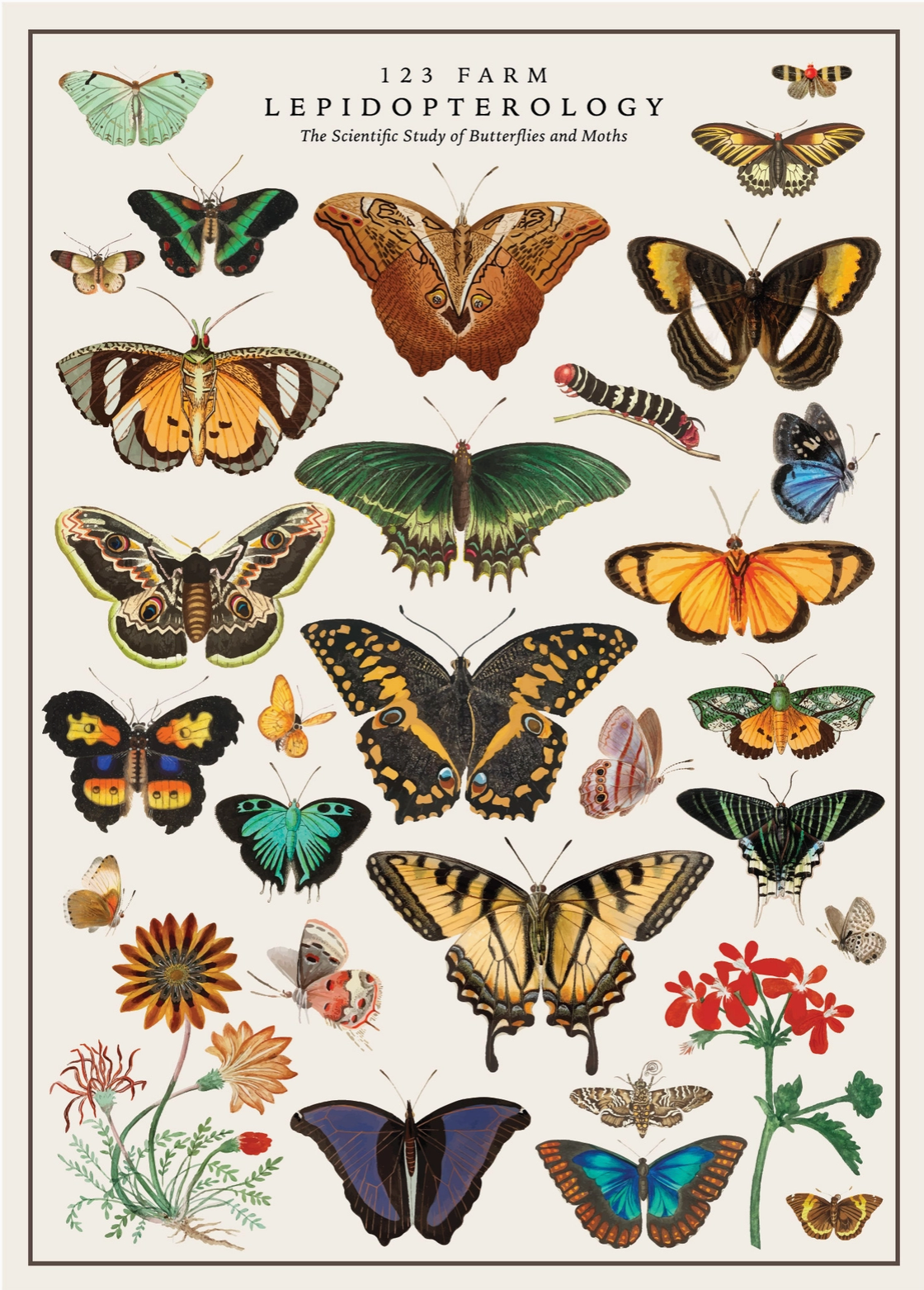 Cavallini Vintage-Inspired Poster Kit