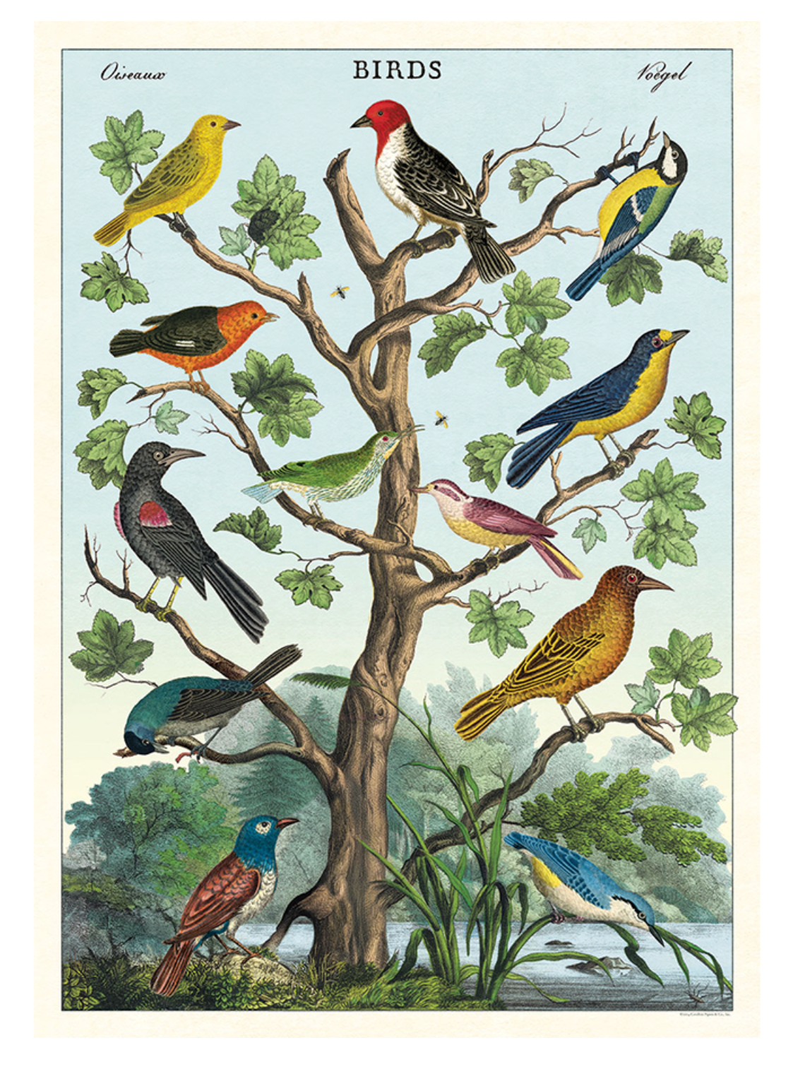 Cavallini Vintage-Inspired Poster Kit