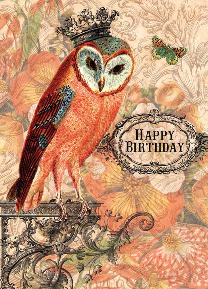 Birthday Hoot Owl Greeting Post Card