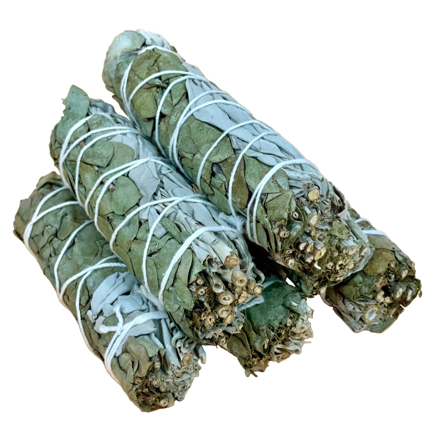 Eucalyptus and White Sage Bundles