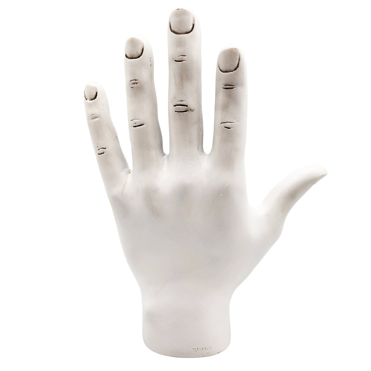 Big Palmistry Hand