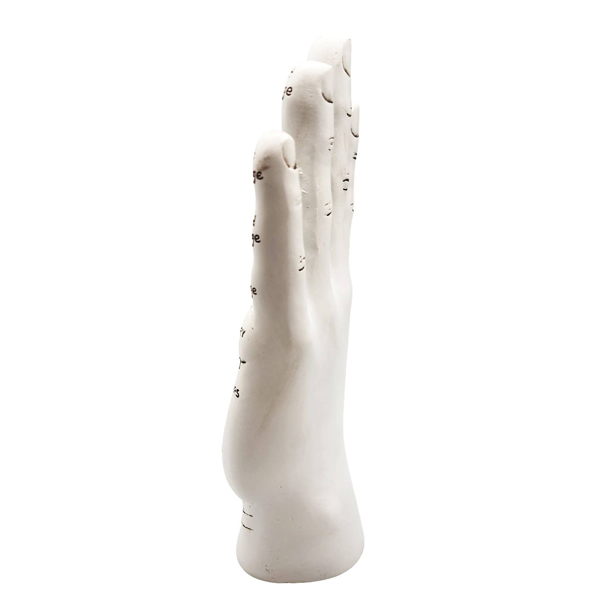 Big Palmistry Hand
