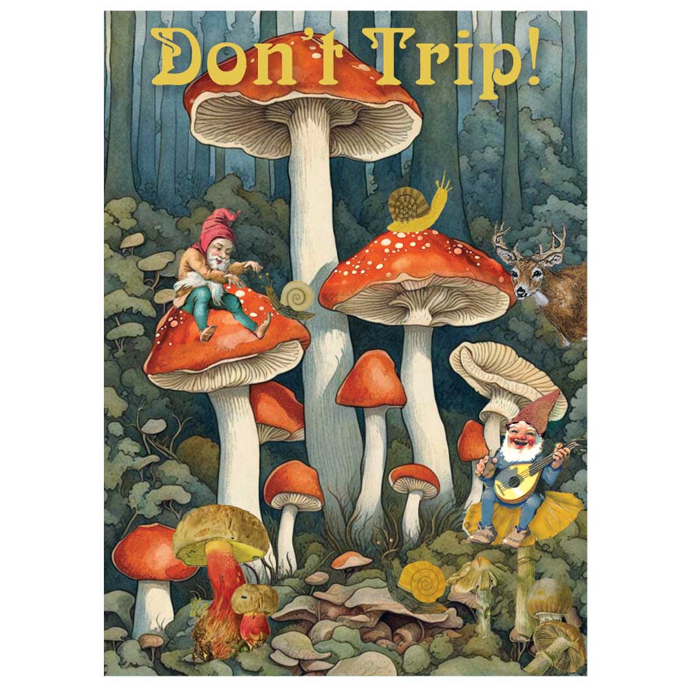 Don't Trip Mushrooms Greeting Post Card