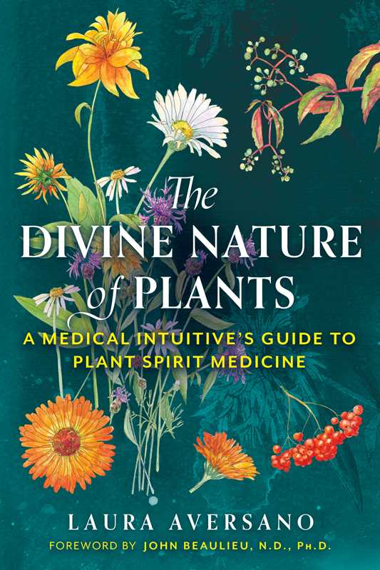 Divine Nature of Plants by Laura Aversano