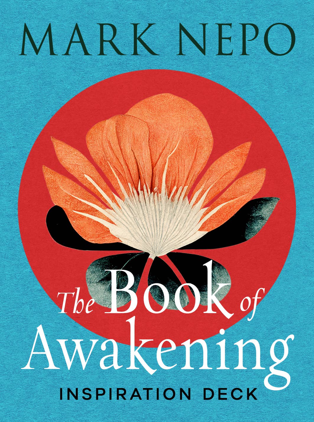 The Book of Awakening Inspiration Deck: 64 Full-Color Cards