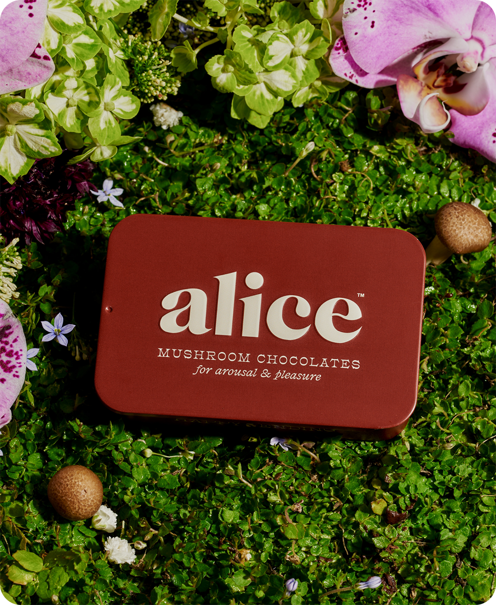 Happy Ending - Mushroom Chocolate Bar Supplement for Wellness