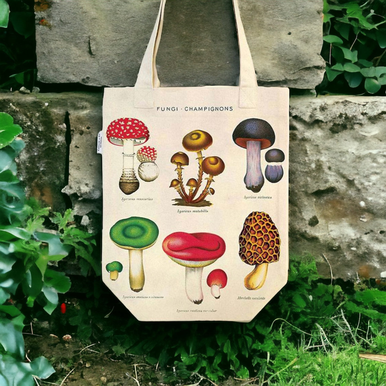 Cavallini Canvas Mushroom Fungi Champignons Tote bag