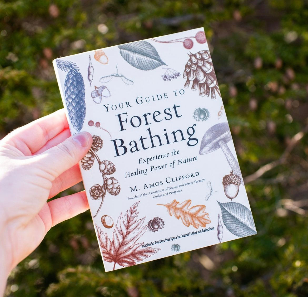 Your Guide to Forest Bathing (Expanded Edition)