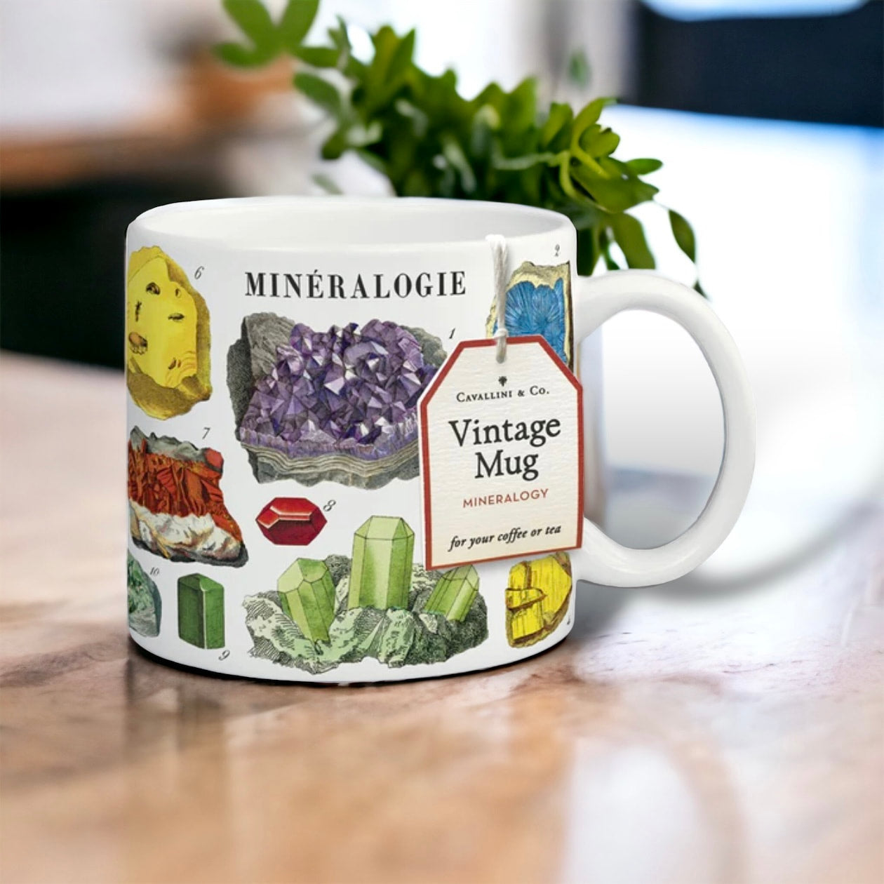 Cavallini Vintage Inspired Ceramic Mug Cup